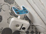 un porte-brosse à dents et porte-dentifrice fixé au mur