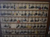 a picture of a display of many different types of necklaces