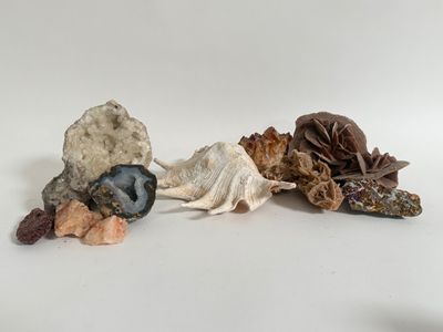 several different types of rocks and shells on a white surface