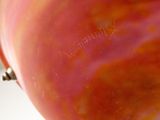 a close up picture of a red apple with a white background