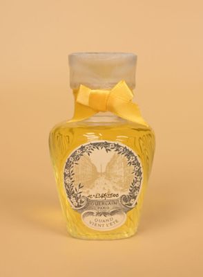 an image of a bottle of liquid with a bow on top
