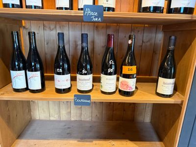 de nombreuses bouteilles de vin sur une étagère dans un magasin