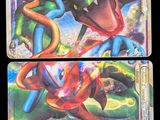 deux cartes Pokémon aux couleurs et aux motifs différents