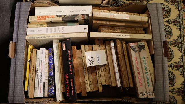 Carton de livres sur le Cinéma.