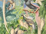 many birds that are sitting on the branch of a tree