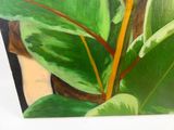 une peinture représentant une plante aux feuilles vertes