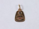 a close up of a small gold charm with a star on it