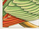 a drawing of a parrot perched on a tree branch