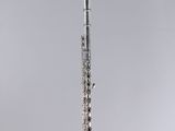 a silver flute sitting on top of a glass stand