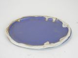 a blue and white plate on a white table