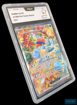 une image d'une carte à collectionner Pokémon dans un étui en plastique