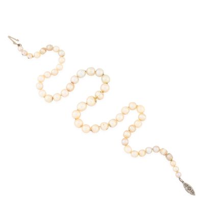 a close up of a rosary on a white background