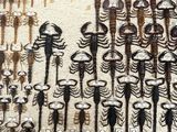 a lot of different types of knives on the table