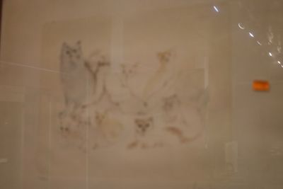 a picture of a picture of two cats in a bathroom
