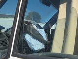a dog sitting in the driver ' s seat of a truck