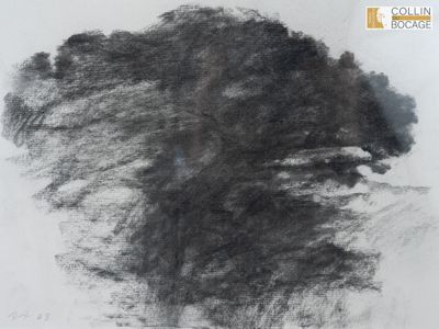 dessin au fusain représentant un arbre dans un champ, avec le ciel en arrière-plan