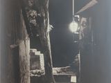 une photo en noir et blanc représentant un lampadaire et un arbre