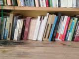 many books on the shelves in the room