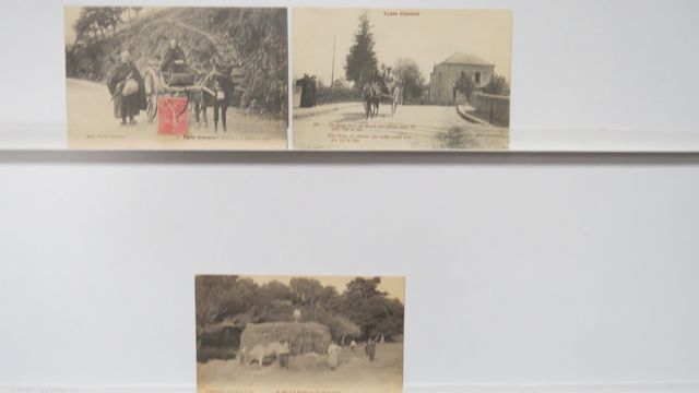 Types Creusois : Lot de 3cpa (TBE) : Mothe 47 + AAA 303 (Guéret) ...