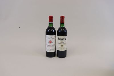 deux bouteilles de vin rouge posées l'une à côté de l'autre sur une surface blanche
