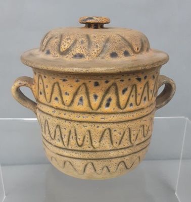 a large vase with a lid on display in a glass case
