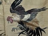 une photo d'un oiseau en plein vol