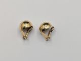 a pair of gold earrings on a white background