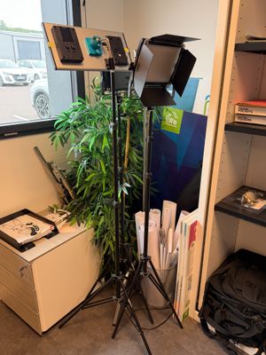 une pièce où se trouvent de nombreux objets et une plante