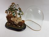 a glass dome with a bird nest inside of it