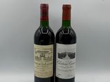 deux bouteilles de vin posées l'une à côté de l'autre sur une table