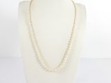 un collier blanc orné de perles autour du cou d'un mannequin