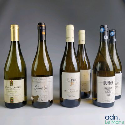 plusieurs bouteilles de vin sont alignées sur une table