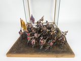 figurines of a display case containing a group of soldiers