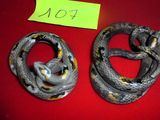 deux serpents posés sur une table rouge