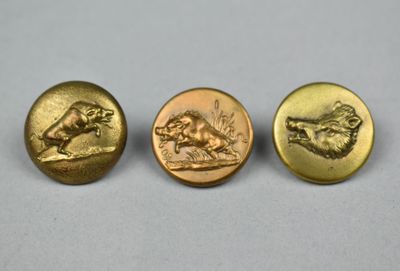 three gold buttons with a picture of a lion and a dog on them