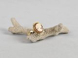 a close up of a ring on a piece of coral