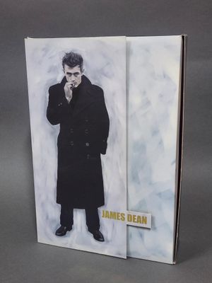 la couverture d'un livre sur laquelle figure la photo d'un homme en train de fumer une cigarette