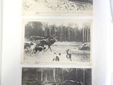 three pictures of horses running in the snow