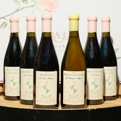 several bottles of wine are lined up on a wooden tray