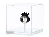 une vitrine en verre contenant une bague à l'intérieur