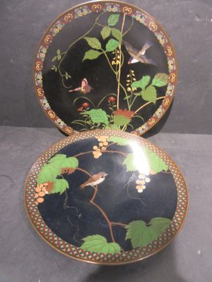 two plates with birds and flowers on them on a table