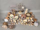 beaucoup de coquillages sur la table