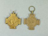two gold medals are shown on a white surface