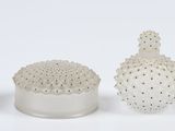 trois vases blancs contenant chacun un cactus, posés sur une surface blanche