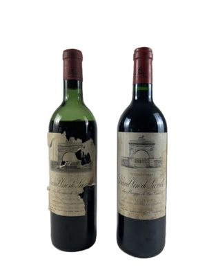 deux bouteilles de vin posées l'une à côté de l'autre sur une surface blanche