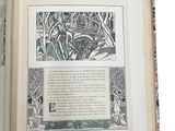 an open book with a picture of a cat on it