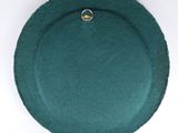 an image of a green plate on a white surface