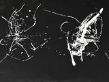 black and white photograph of a broken glass window with a butterfly on it
