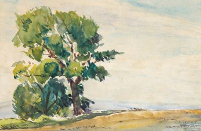 une image représentant une aquarelle d'un arbre au bord d'un plan d'eau