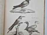two birds that are sitting on a book